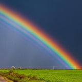 Mystery Kit Club Membership 2021 - Myths and Legends