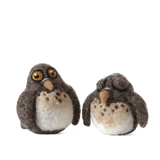 Screech Owl Babies Kit