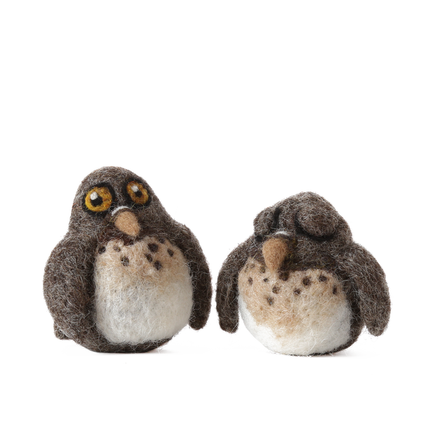 Screech Owl Babies Kit – Going Gnome