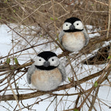 Chickadees Kit