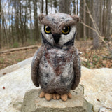 Screech Owl Kit