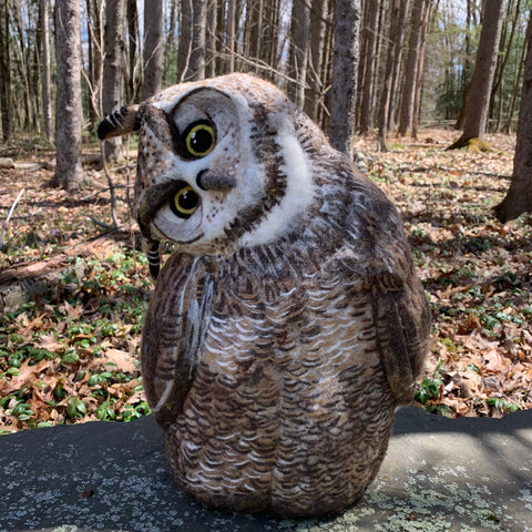 Great Horned Owl