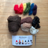 Mini Gnomes Kit