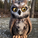 Screech Owl Kit