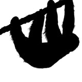 Mystery Kit Club Membership 2022 - Earth's Fantastic Beasts