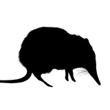 Mystery Kit Club Membership 2022 - Earth's Fantastic Beasts