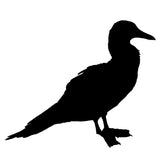 Mystery Kit Club Membership 2022 - Earth's Fantastic Beasts