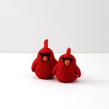 Cardinals Kit