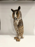 Long eared owl