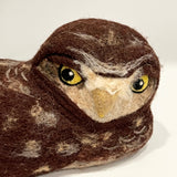 Burrowing owl