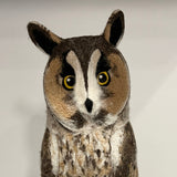 Long eared owl