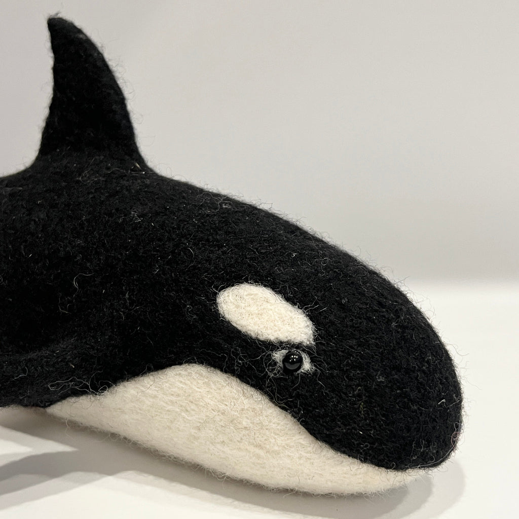 Orca