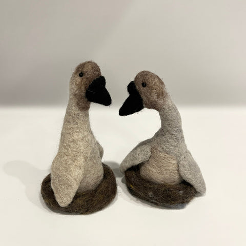 Pair of geese