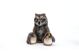 Screech Owl Babies Kit