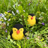 Gold Finches Kit