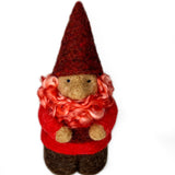 Dragon Tamer Gnome Kit - NEW