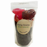 Dragon Tamer Gnome Kit - NEW