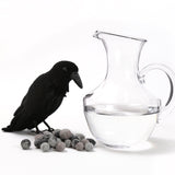 Crow Kit