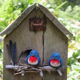 Bluebirds Kit
