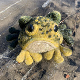Frog Kit