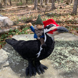 Pileated Woodpecker with Gnome