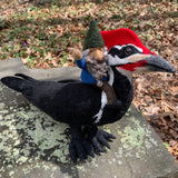 Pileated Woodpecker with Gnome