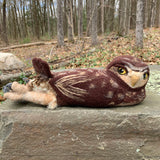 Burrowing Owl