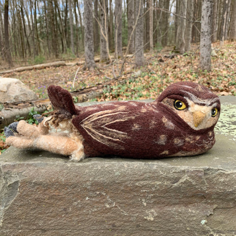 Burrowing Owl