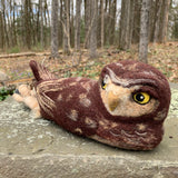 Burrowing Owl