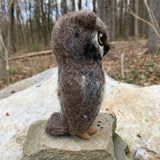 Screech Owl Kit