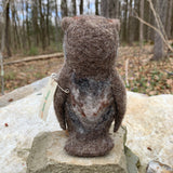 Screech Owl Kit