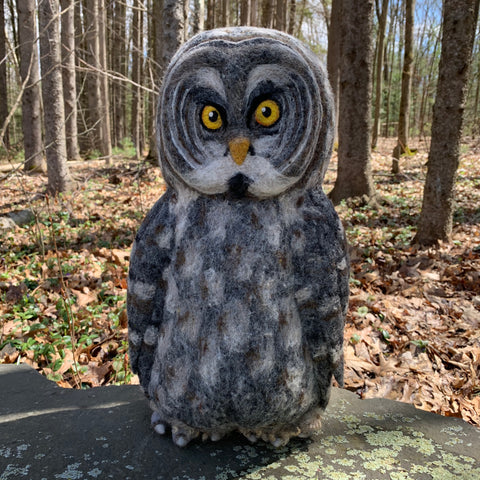 Great Grey Owl