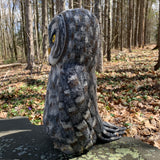 Great Grey Owl