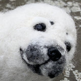 Mystery Kit Club Membership 2020 - The Icy Arctic