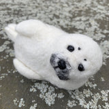 Mystery Kit Club Membership 2020 - The Icy Arctic