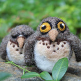 Screech Owl Babies Kit