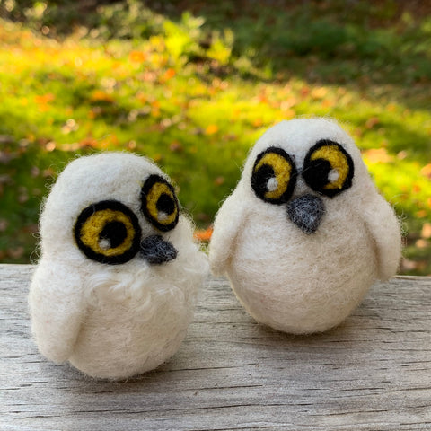 Baby Snowy Owl (one)