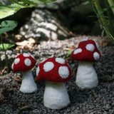 Mushroom Kit