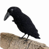 Crow Kit