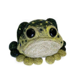 Frog Kit