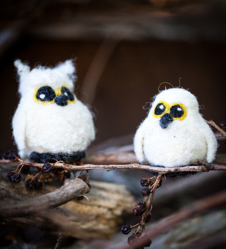 Owl babies outlet