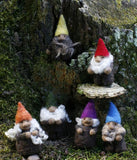 Mini Gnome