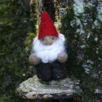 Mini Gnome