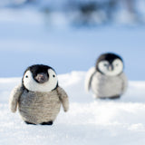 Baby Penguins Kit