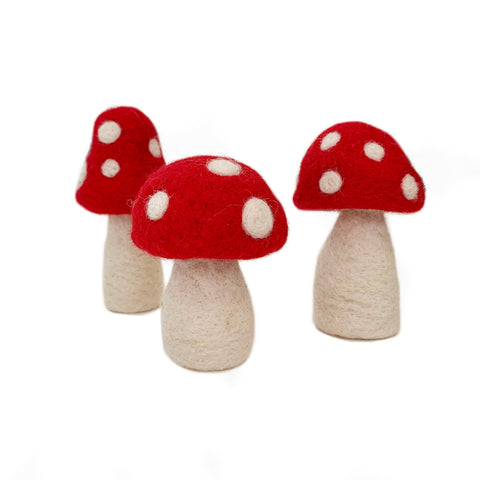 Mushroom Kit