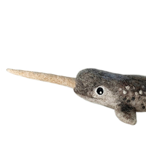 Narwhal Kit