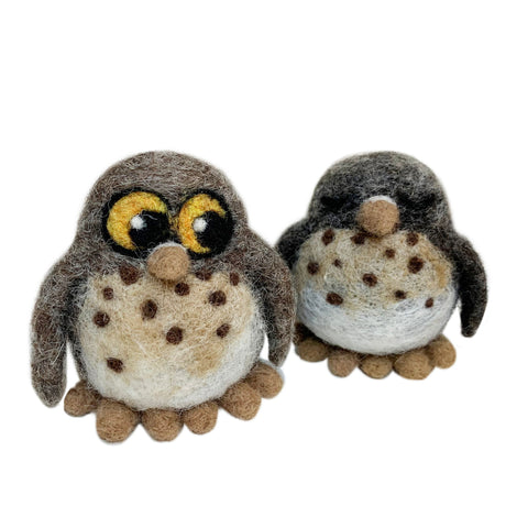 Screech Owl Babies Kit