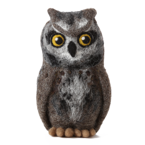 Screech Owl Kit