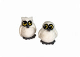 Baby Snowy Owl (one)